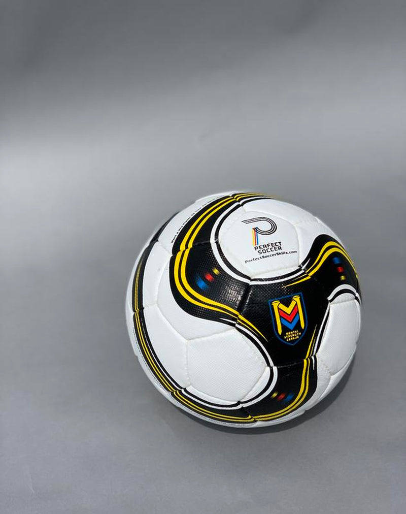 Perfect Soccer Training Ball